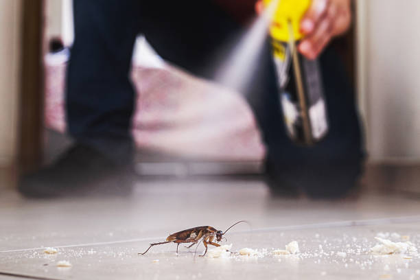 Best Pest Control Near Me in Lapwai, ID